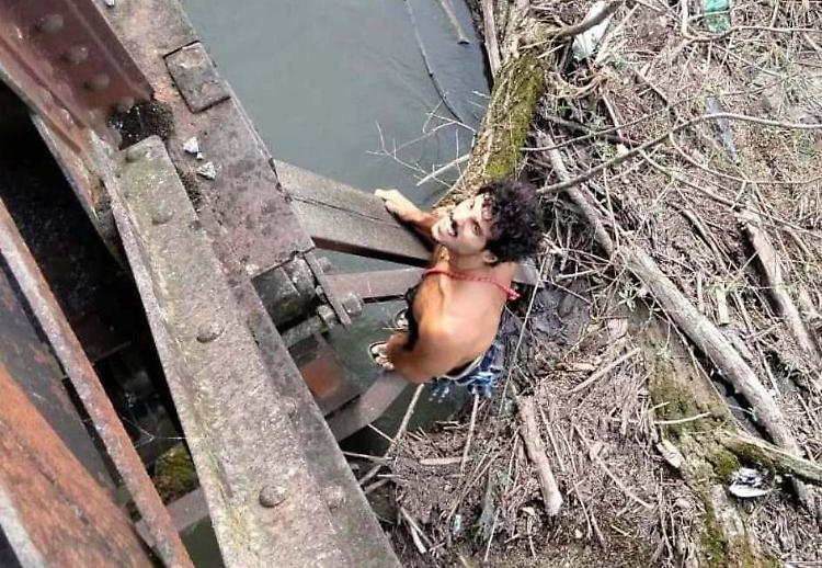 I volontari acrobati della ‘missione tronchi’