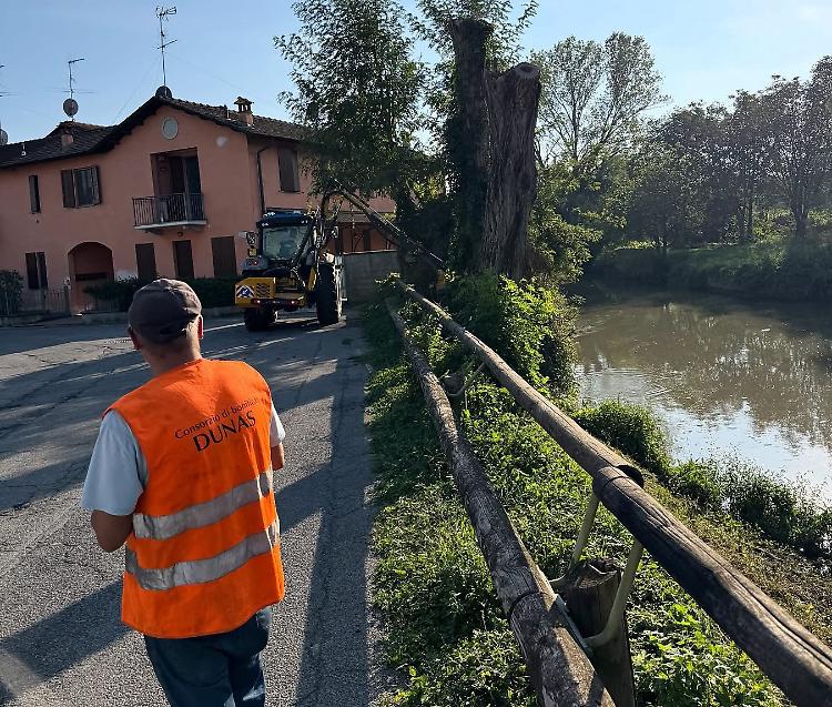 Serio morto bonificato: maxi intervento per liberare gli argini