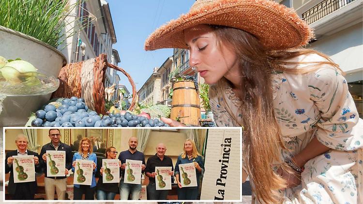 Le Invasioni botaniche hanno un nuovo ‘sound’