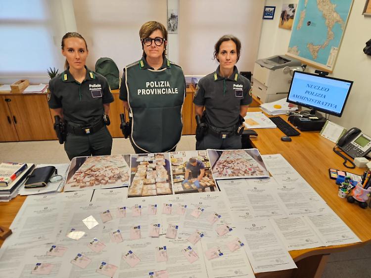 Maxi giro di patenti false, annullate 52 licenze di guida  tra Cremona e Brescia