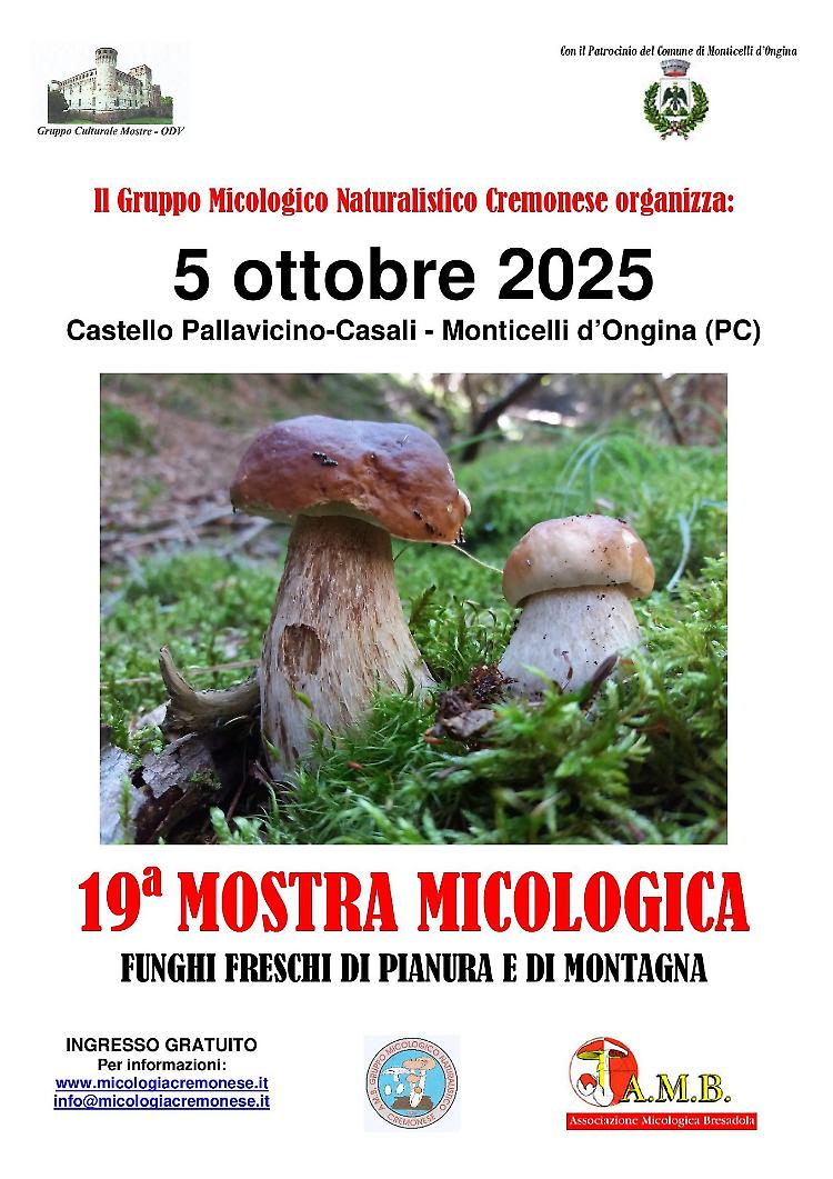 19ª Mostra Micologica: funghi di pianura e di montagna