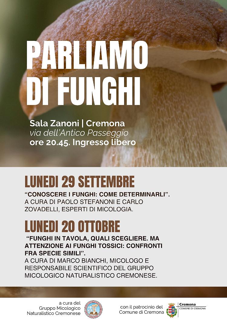 Funghi in tavola, quali scegliere. Attenzione ai funghi tossici