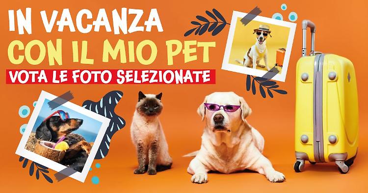 “In vacanza con il mio pet”, vota la tua foto preferita tra le 25 selezionate