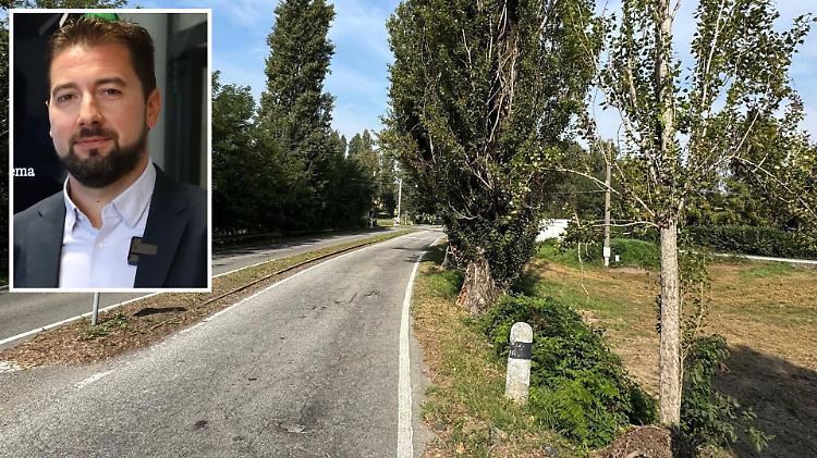 Cedimenti di piante e rami: «Va quei 27 alberi»