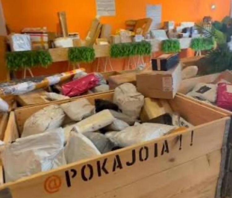 Sorpresa al Cremonadue: arriva 'Mystery Box', i pacchi misteriosi di PokaJoia