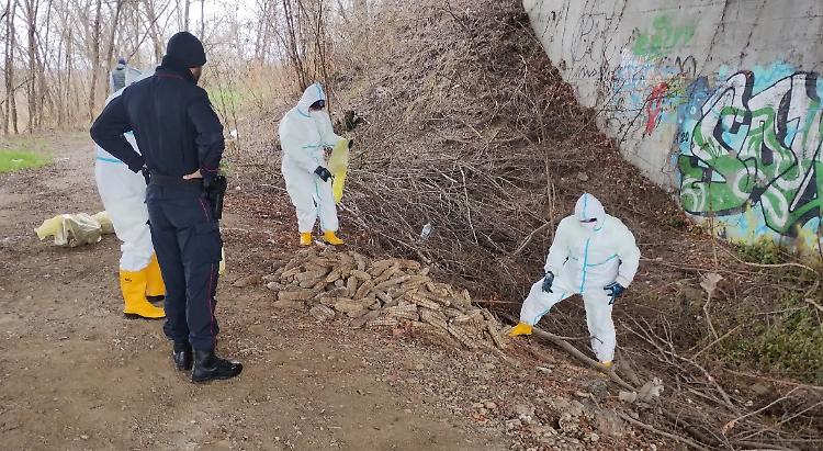 Salami abbandonati illegalmente, azienda cremonese nei guai