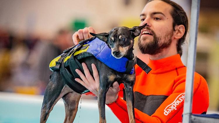 Torna il Petsfestival, gli animali da compagnia protagonisti di un weekend magico