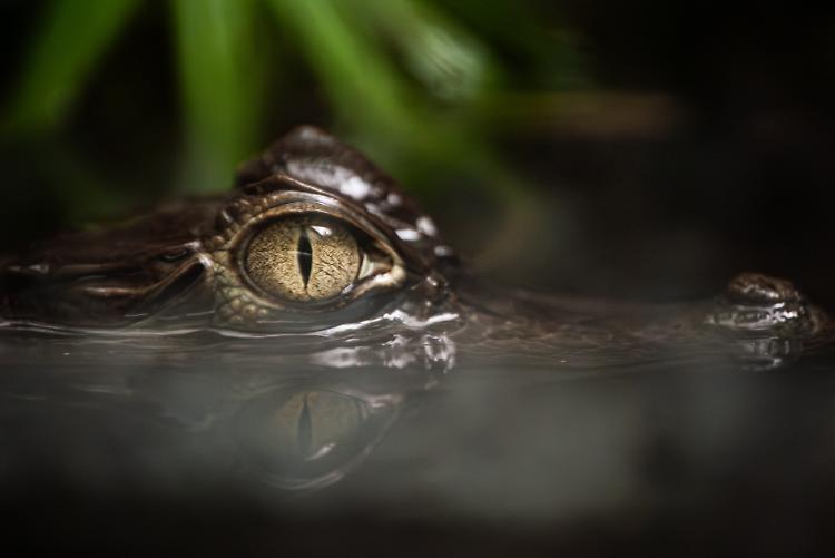 “Sguardi sulla natura” collettiva fotografica