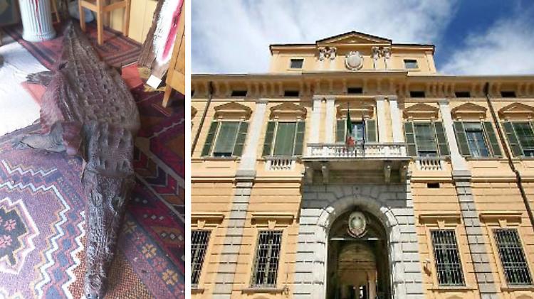  I buoni pasto solamente ai magistrati