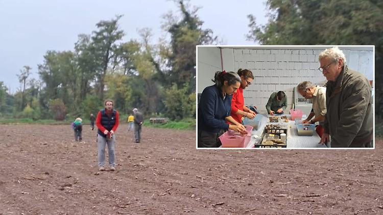 Sotto pochi centimetri di terra, la storia non dorme