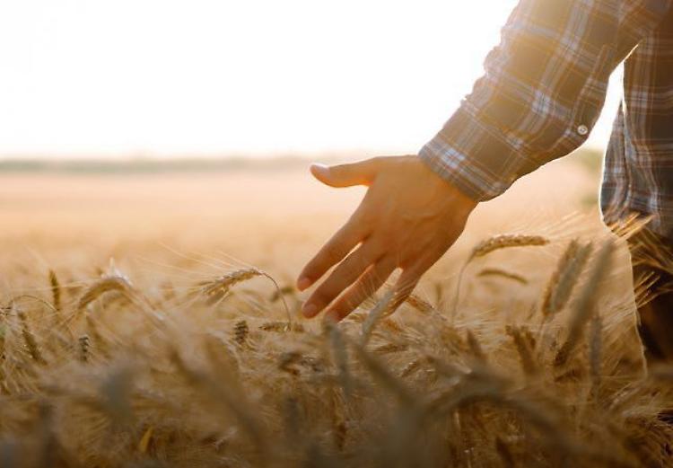 Così il Giubileo incontra gli agricoltori