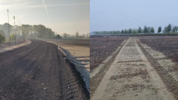 Strada abusiva lungo il Po, ripristinato lo stato del luogo