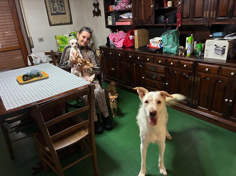 Arianna e i suoi cinque cani "Finalmente abbiamo trovato casa"