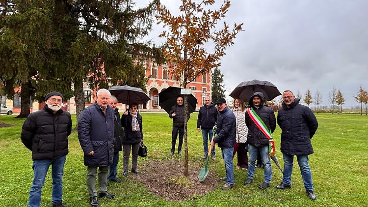 Due alberi per celebrare una vita di impegno e dedizione