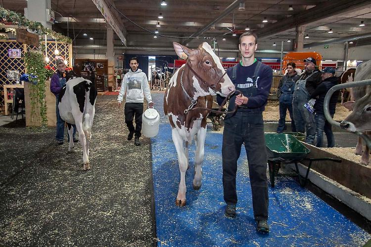 Oggi si alza il sipario sulla fiera più bella