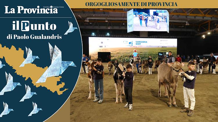 La Fiera  moltiplica il fatturato di Cremona