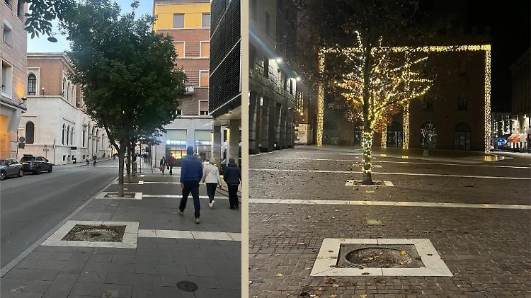 Nuovi alberi e cantieri per restituire respiro agli spazi urbani