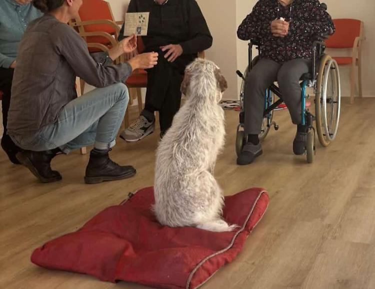 Anziani e animali, il legame è terapeutico