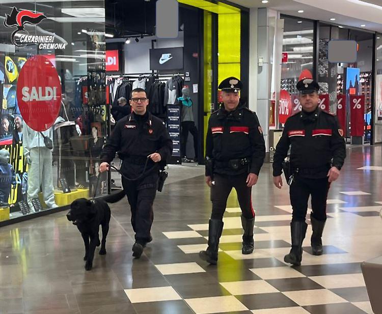 Maxi servizio dei carabinieri: controlli a tappeto contro furti e droga