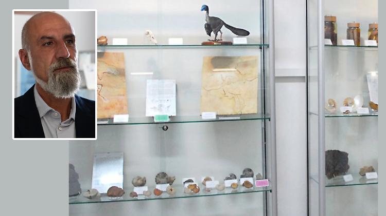 &laquo;Il museo? I problemi sono noti&raquo;