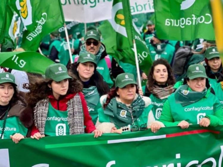 Rinvio alla Corte Ue: agricoltori ascoltati