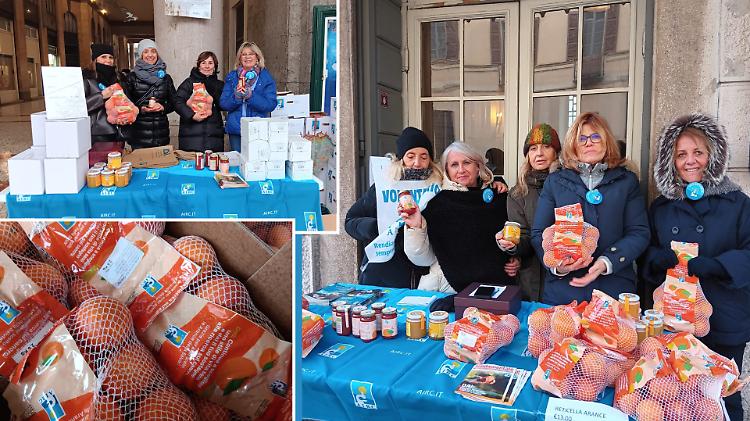 Cremona sostiene la ricerca con le arance della salute: l'iniziativa fa centro