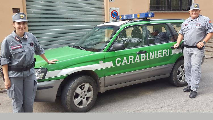Il nucleo forestale protegge fiumi e territorio:  in provincia 30 controlli e 3 illeciti gravi