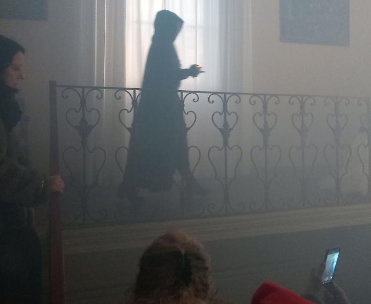 Aiuto! La villa &egrave; infestata