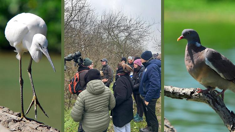 Giornata internazionale delle zone umide, sorprese nella riserva Le Bine
