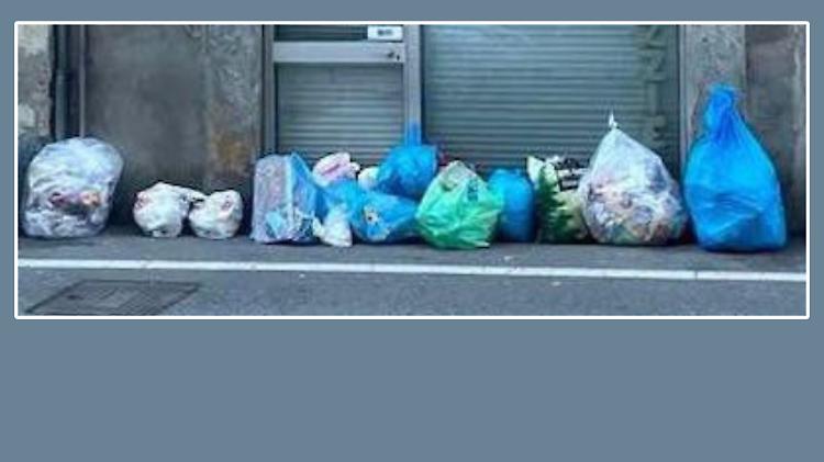 Rifiuto selvaggio nelle strade, protesta contro gli incivili