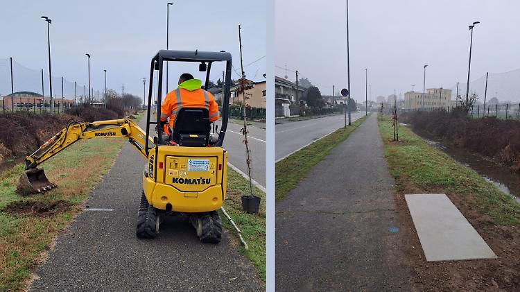 Dona 17 querce al Comune e resta anonimo