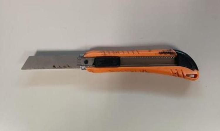 Sassi contro il treno in corsa: 14enne arrestato dopo l&rsquo;aggressione ai carabinieri