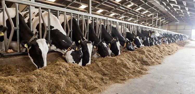 &laquo;Quella delibera un&rsquo;invasione di campo&raquo;