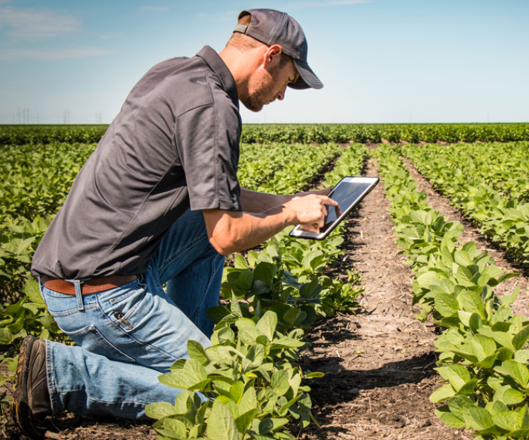 Vitari: &laquo;Non toccate le risorse destinate ad agricoltura e Comuni&raquo;