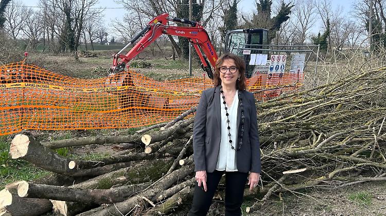 Il Ponticello diventa un vero parco