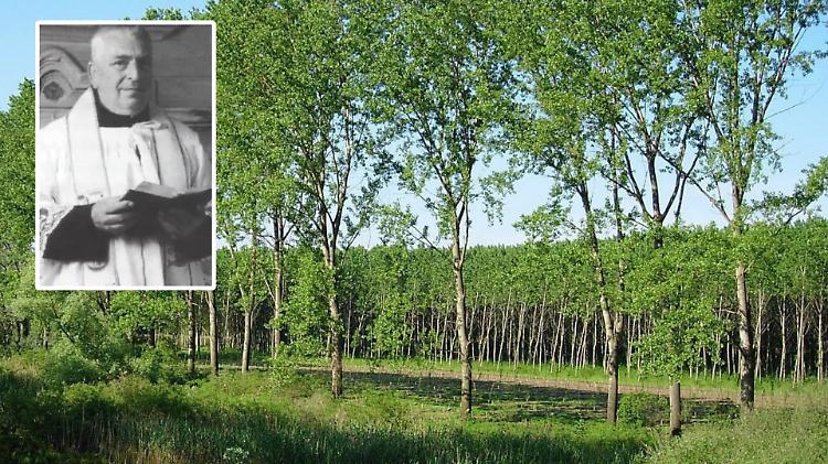 Parco pubblico dedicato a don Bruno