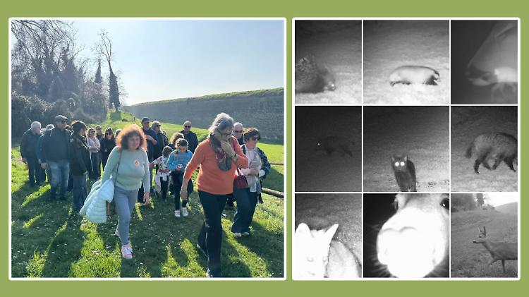 Gli animali del Rivellino star dei turisti