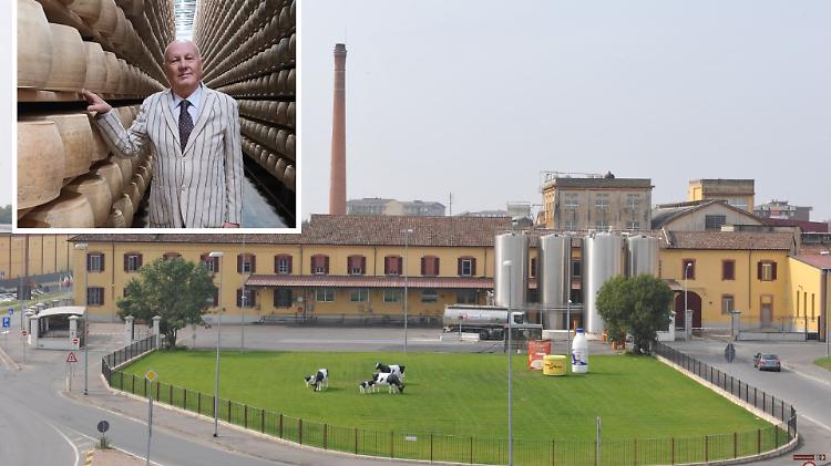 Cinque milioni per il Grana Padano: maxi finanziamento a Latteria Soresina