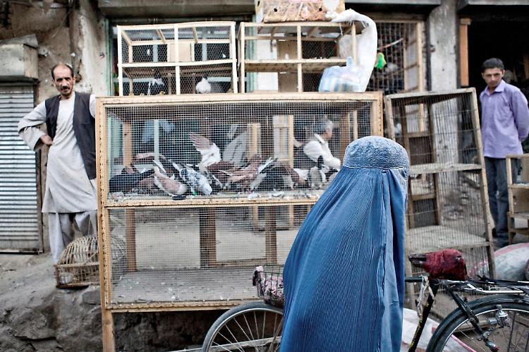 Afghanistan, voci di resistenza: a Piadena il volume sulle donne sotto i talebani