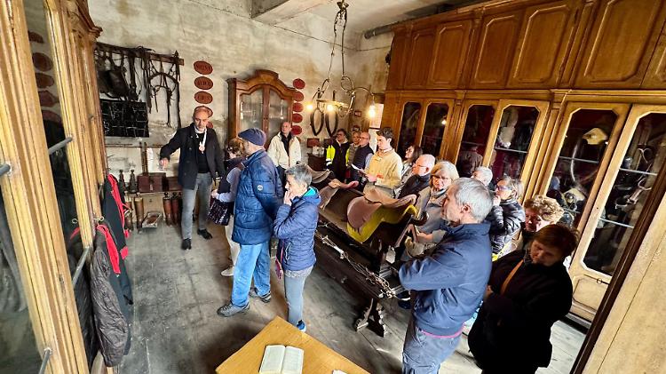 Palazzo Silva svela i suoi segreti: storia, arte e bracchi italiani