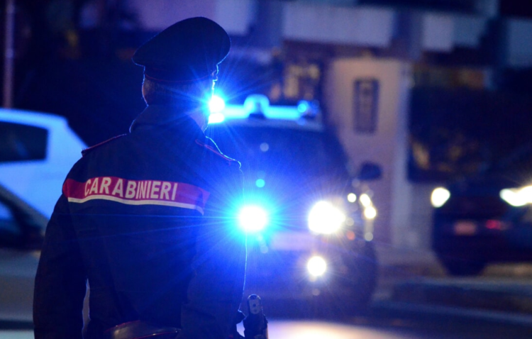 Animali in fuga: muore un cavallo