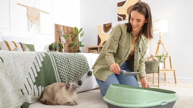 Rifiuti elettronici e plastica dura, torna l&rsquo;Ecocar nei quartieri