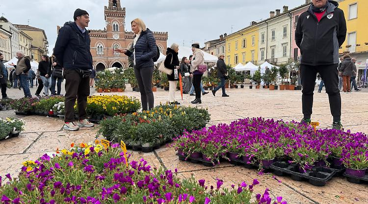 Listone in fiore in piazza, festa di colori e profumi