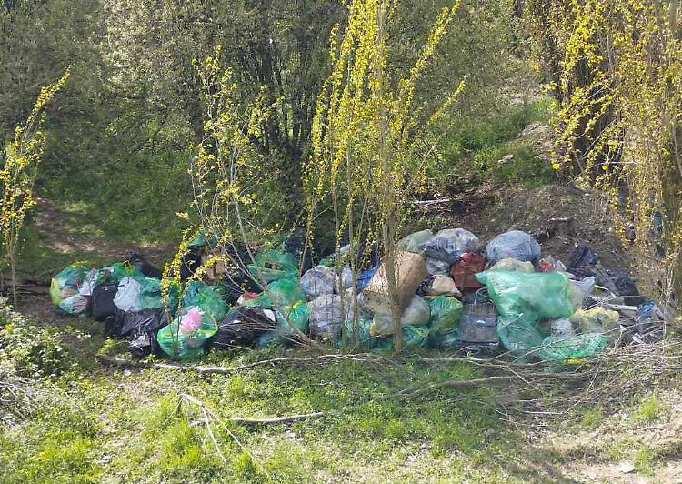Discarica abusiva: intervengono i Limpiadores