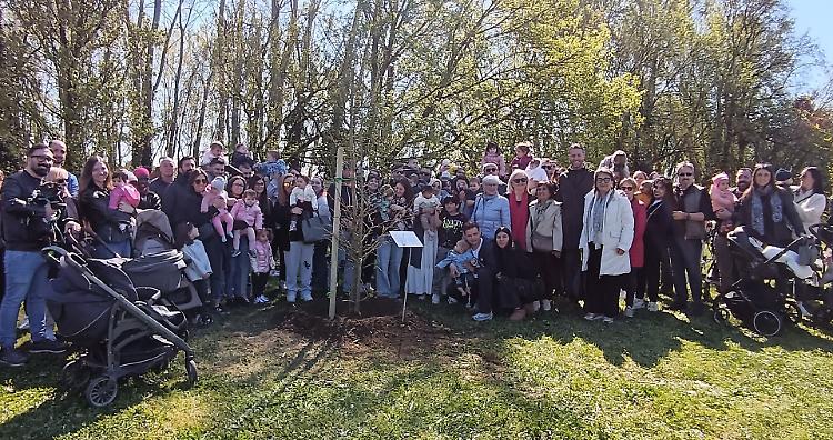Albero della vita: la festa c&rsquo;&egrave; anche con il crollo di nascite