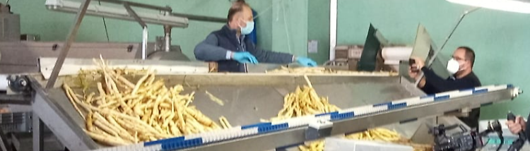 «Le Radici soffrono ma la sagra deve resistere»