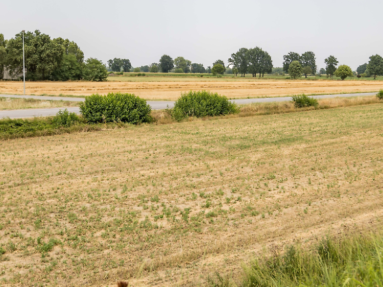 Siccità: «Serve acqua per irrigare i campi»