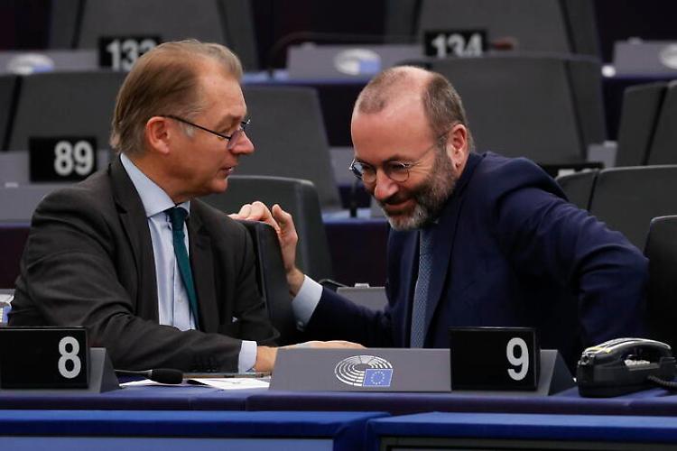 Ancora "no" dei popolari all'Eurocamera sulle nuove norme "pro-natura"