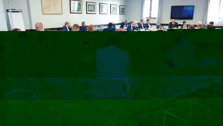 Comunicato Stampa: CRV - Ok a pareri alla Giunta regionale in materia di viticoltura e sviluppo rurale