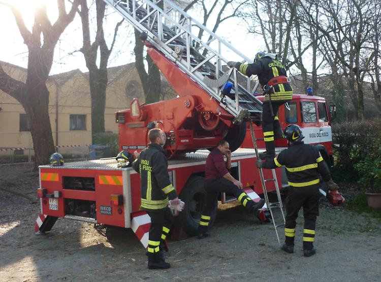 L'intervento dei vigili del fuoco agli Stalloni nelle scorse settimane per potare i rami pericolanti